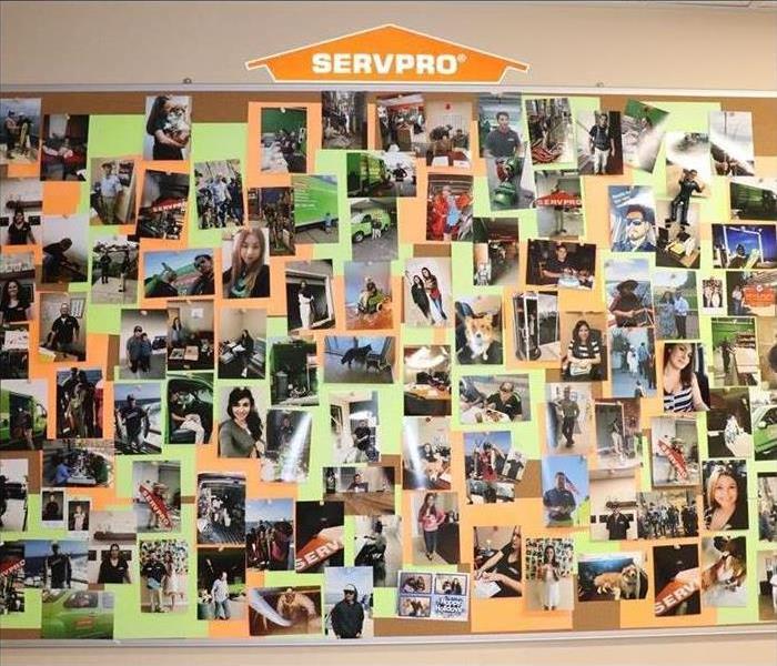 Wall of employee photos 